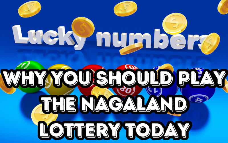 Why You Should Play the Nagaland Lottery Today